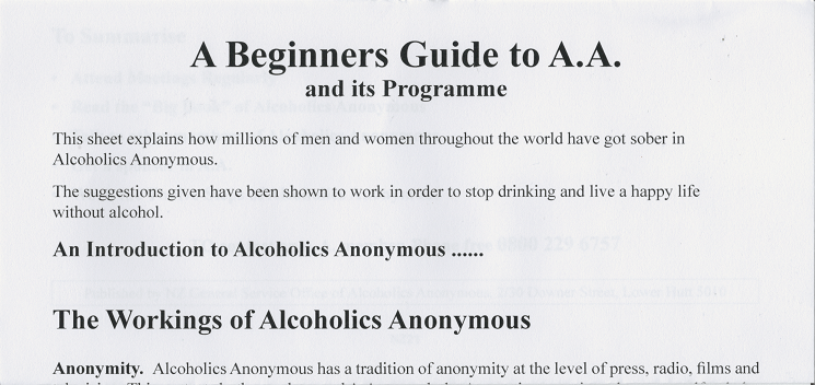 Beginners Guide